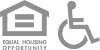 handicap icon